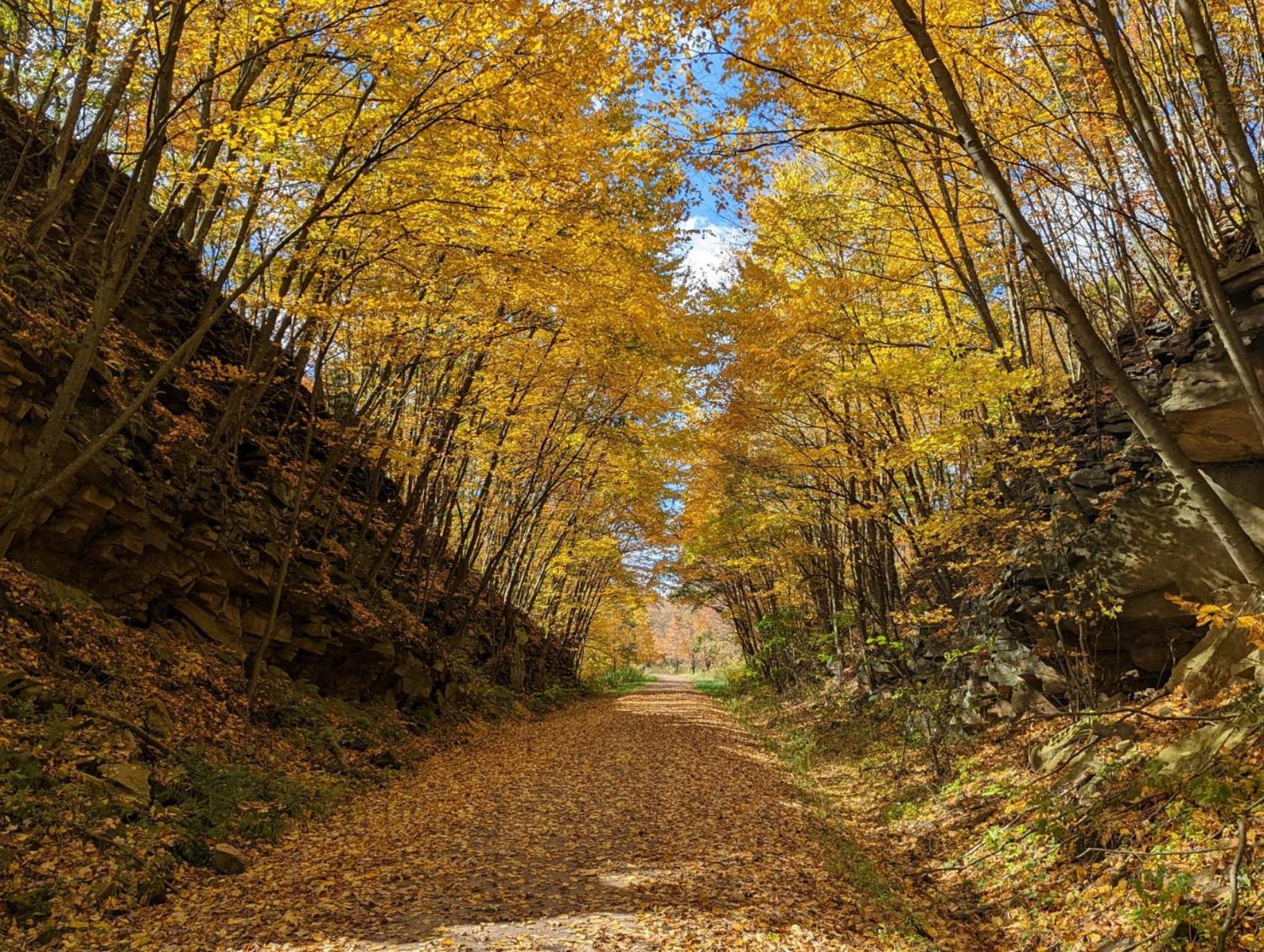 Stay In Ohiopyle Near Everything Including The Trail, Ohiopyle Pa Farmington Екстер'єр фото